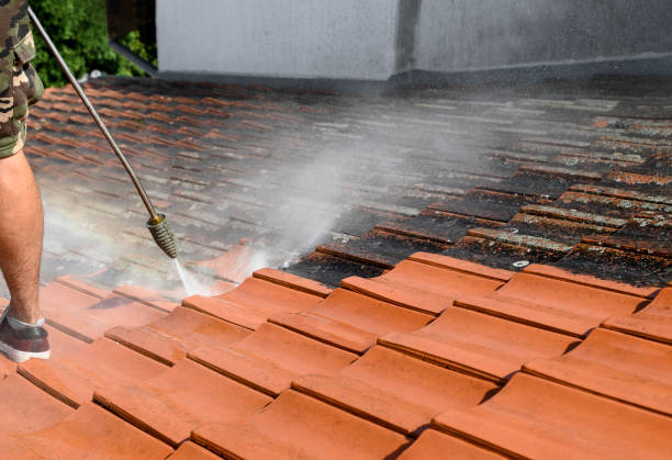 Best Sidewalk Pressure Washing  in Muscle Shos, AL